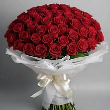 Букет 101 Красная роза Блэк Мэджик #REPLACE_PRED# Аверьяновке