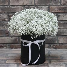 Цветочная композиция из Гипсофила в шляпной коробке в Аверьяновке