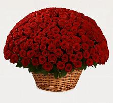 Премиум букет из: Розы в Аверьяновке