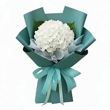 Букет цветов из:  Гортензия в Аверьяновке